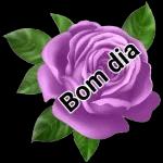 Boa noite