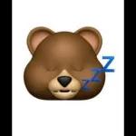 urso