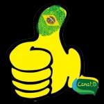 seleção brasileira