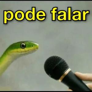 1NrTqy