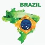copa do mundo 🇧🇷 