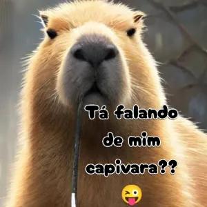 d0CBlP