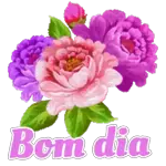 aproveite as férias ☺️