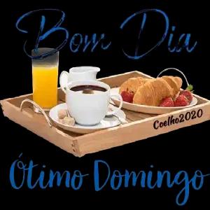 Bom Dia Ótimo Domingo Coelho2020 - getsticker.com