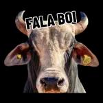 bomba