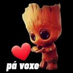 pa    voxe