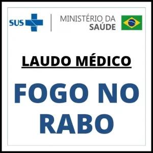 SUS MINISTÉRIO DA SAÚDE LAUDO MÉDICO FOGO NO RABO - getsticker.com