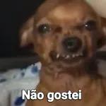 TO CHEGANDO
