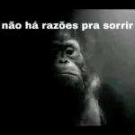 Boa tarde meus chapas