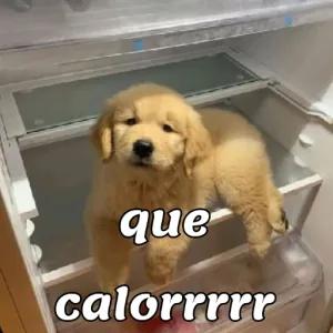 4hyjnn