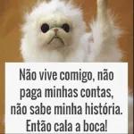 memes 