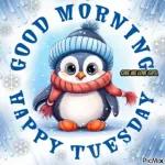 good morning