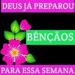 minhas y