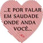 amo amo