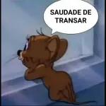 transar 
