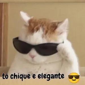 tHL8pP