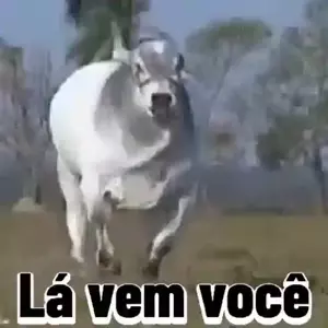 7MHtyg