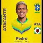 Seleção brasileira