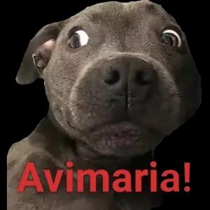 Avimaria! - getsticker.com