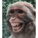 You are not my friend