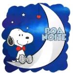 BOA NOITE 