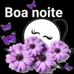  Boa noite