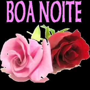 BOA NOITE - getsticker.com