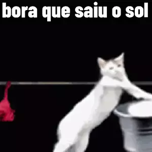 U4bIbX