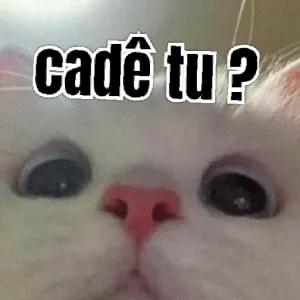 eaEKnf