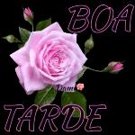Boa noite 💋