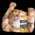 Boa noite!