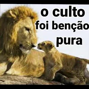 yunc6n8
