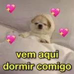 CONTA ESSE BABADO