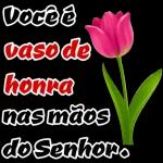 dia das mães 