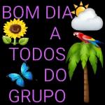 BOM DIA A TODOS DOV GRUPO 