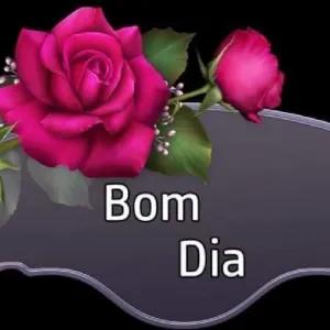 ENJjRJ