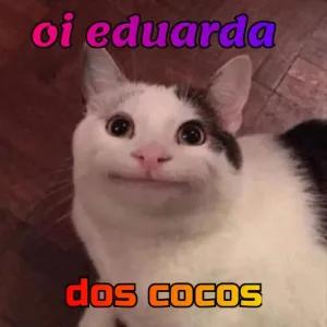 owaZZQ