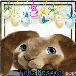 gigylola 