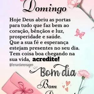 Domingo Hoje Deus abriu as portas para tudo que faz bem ao coração, bênçãos e luz, prosperidade e saúde. Que a sua fé e esperança estejam presentes no seu dia. Tem coisa boa chegando na sua vida, acredite! @fernandamensagem Bom dia Bom - getsticker.com