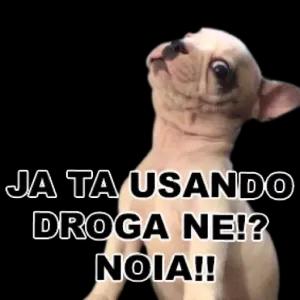 JA TA USANDO DROGA NE!? NOIA!! - getsticker.com