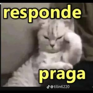 responde praga @tilin6220 - getsticker.com