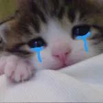 triste 