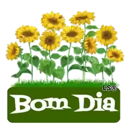 bebê