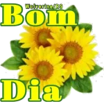figurinhas 