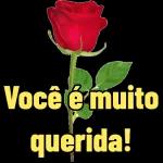 Bom dia 🌞