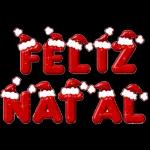 FELIZ NATAL!!!🥳
