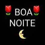 Boa Noite 