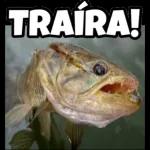 FAZ PRA MIM POR FAVOR