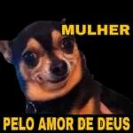 JÁ ESTOU EM CASA