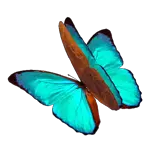 figurinhas em movimento